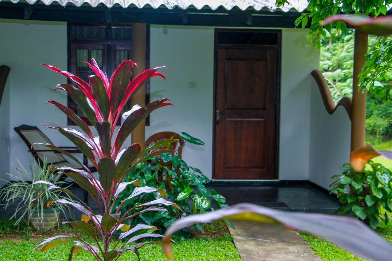 Nimsara Lodge Sigiriya Ngoại thất bức ảnh