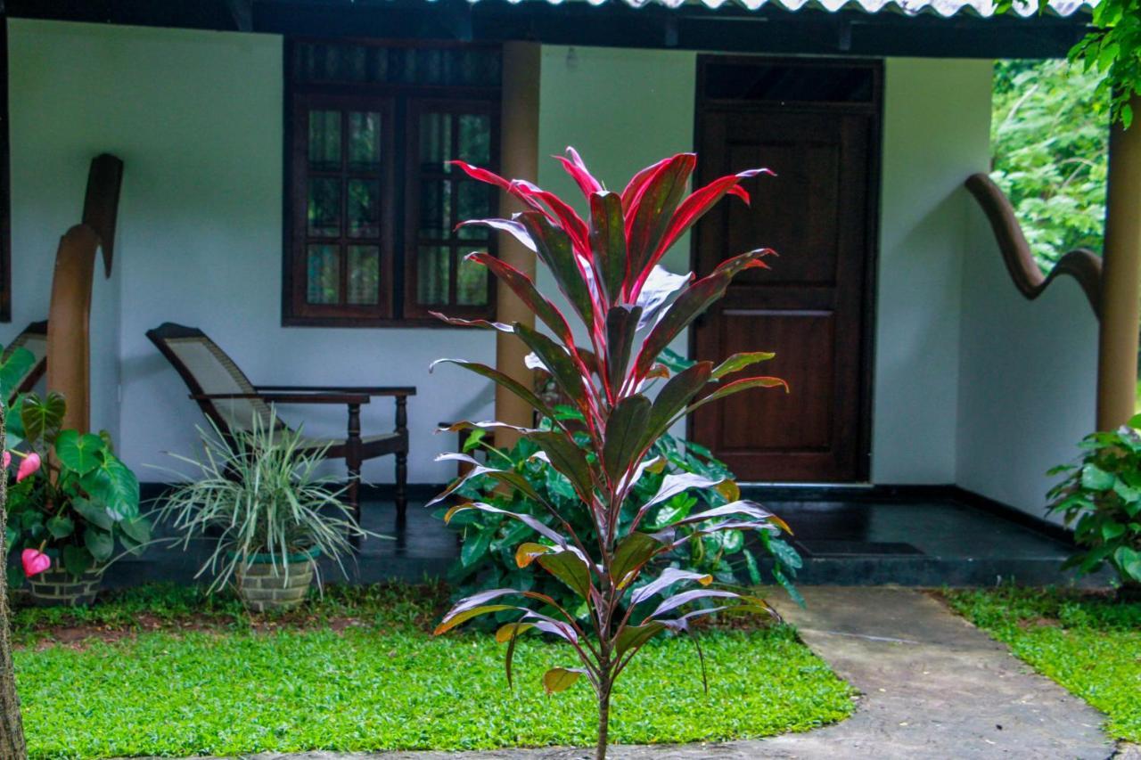 Nimsara Lodge Sigiriya Ngoại thất bức ảnh